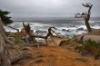 Pacific Ocean shore