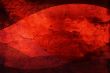 Great for textures and backgrounds