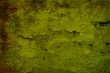 Great for textures and backgrounds