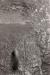 see wave