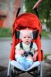 Baby in sitting stroller #5