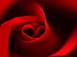 Red rose with heart symbol in center. close-up #2