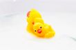 Three rubber ducks in foam water. Rear view
