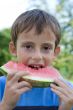 Boy eats watermelon
