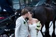 We and the horses