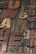 Wood type