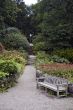 Garden path