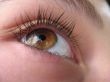 Brown eye
