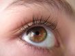 Brown eye