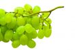 ripe green grape isolated on white