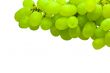 ripe green grape isolated on white