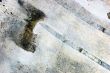 birch bark