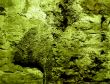 Great for textures and backgrounds