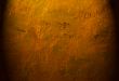 Great for textures and backgrounds