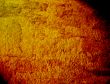 Great for textures and backgrounds