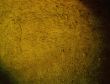 Great for textures and backgrounds
