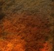 Great for textures and backgrounds