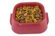 dogfood bowl on white