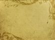 grunge floral background with space for text