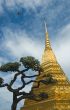 Golden stupa and a tree over blue sky background