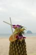tropical cocktail - shallow focus