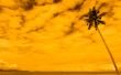 tropical sunset