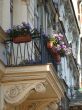 Flowers on the balcony