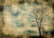 grunge frame with tree silhouette