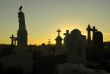 crow at graveyard