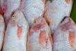 fish at fishmarket