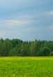 rural landscape