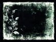 grunge floral background with space for text
