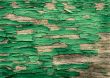 texture of old painted wood