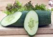 Cucumber