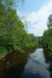 bank of the river, green grass and blue sky