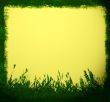 grunge floral frame