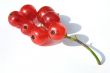 red currant