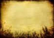 grunge background with space for text or image