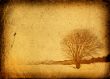 grunge frame with tree silhouette
