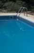 Pool Ladder