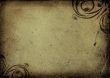grunge floral background with space for text or image