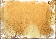 Background frame