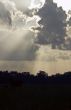 Cumulus Clouds