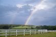 Double Rainbow