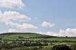 Dairy country