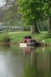 mored boat before a tree