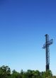 Cross Rises Above Trees