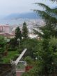 View of coastal city from tea garden
