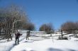 Snowshoe hiker with wooden rail fence