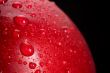 red apple